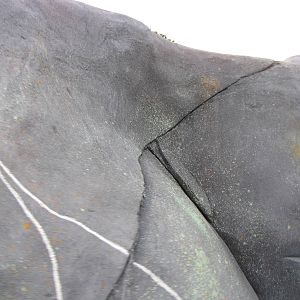 Member Preview Night Tundra Trek