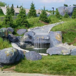 Polar Bear Exhibit Stream & Pond