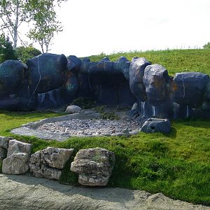 Polar Bear Cave