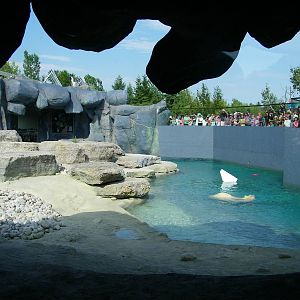 Polar Bear Exhibit