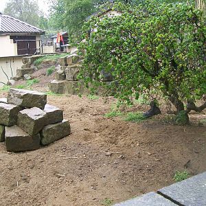 Meerkat enclosure (angle 3)