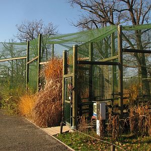 Walk-through aviary for shore birds