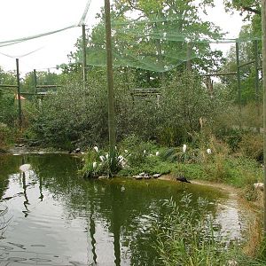 Walk-through aviary for shore birds