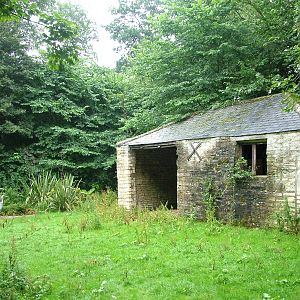 Crane enclosure at Lotherton Hall 01/08/09
