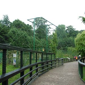 Condor aviary and ratite paddocks at Lotherton Hall 01/08/09