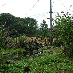 Into Africa aviary at Lotherton Hall 01/08/09