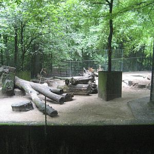 Wuppertal Zoo - Wolf exhibit
