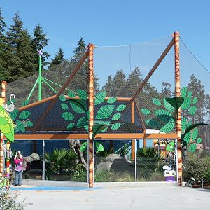 Ring-Tailed Lemur Exhibit