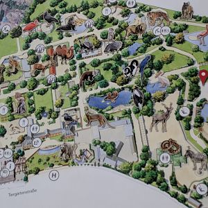 Current Zoo Map