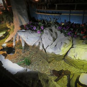 Turtle Pond - Main Exhibit