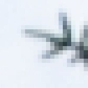 Red squirrel walkthru