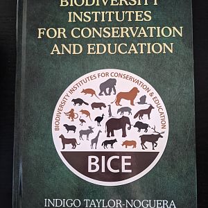 Biodiversity Institutes for Conservation and Education (BICE)