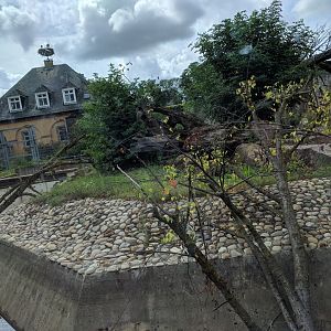 Old Part of Syrian Brown Bear and Corsac Fox Enclosure