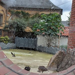 Coastal Panorama Sea Bird Aviary View from Outside of the Aviary