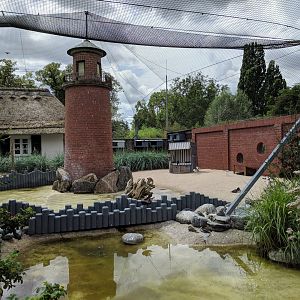 Inside of the Coastal Panorama Sea Bird Aviary