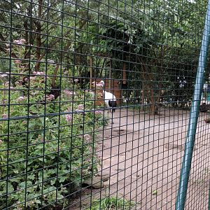 Land Part of Geysir Lake