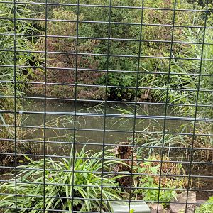 Water Part of Geysir Lake