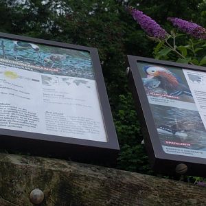 Geysir Lake Bird Signage