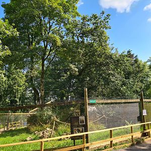 South American mixed exhibit - Dartmoor Zoo