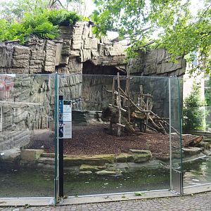 Small monkey house - Mandrill outdoor exhibit, 2021-07-17