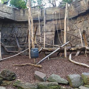 Small monkey house - Outdoor grotto for Colombian black spider monkeys, 2021-07-17