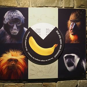 Sign about monkey nutrition in the Small monkey house, 2021-07-17