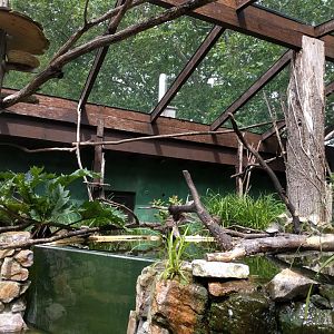 Amazon Walkthrough Aviary