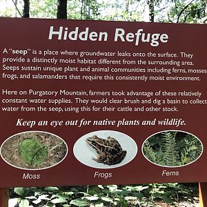 North Carolina Zoo: Purgatory Trail "Seep" Sign