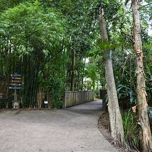 Bindi's Island - Visitor Pathway