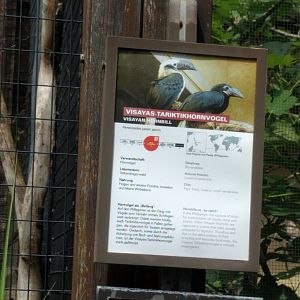 Signage Visayan Hornbill