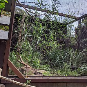 Native Marshlands Aviary