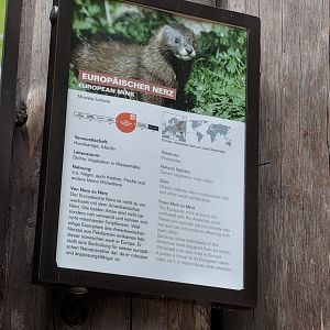 European Mink Sign