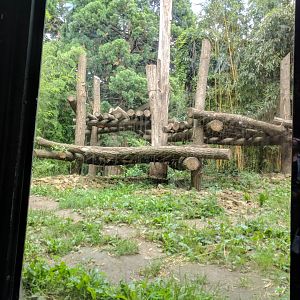 Sumatran Tiger Outdoor Enclosure