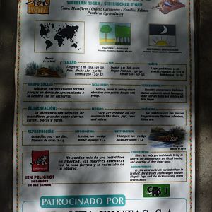 Signage example: Tiger signage