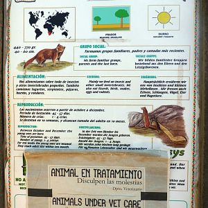Signage example - Animals in manteinance