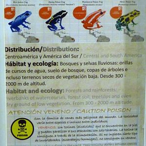 Poison dart frog general signage