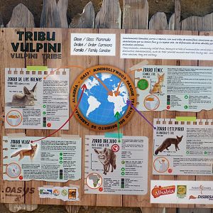 General signage for foxes