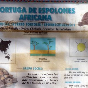 +1 for following good taxonomic school