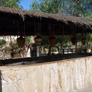 Fresh-looking scenery