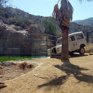 Abandoned car as decoration