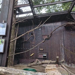 Carcass Eaters Aviary