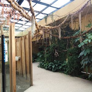Visitor area in the okapi house next to the ape house, 2021-07-17