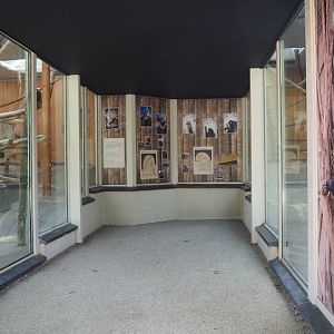 Viewing area Chimpanzee indoor rooms, 2021-07-17