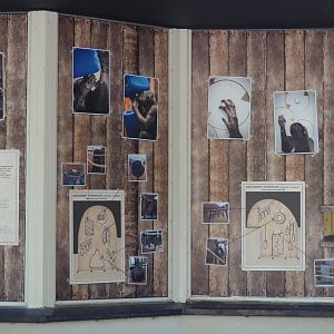 Signage on chimpanzee enrichment, 2021-07-17