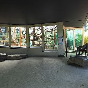 Viewing area Gorilla indoor housing, 2021-07-17