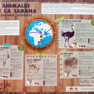 Signage for savannah animals