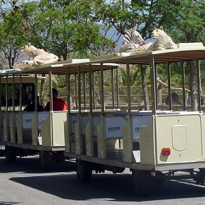 Mini-train for see the savannah area
