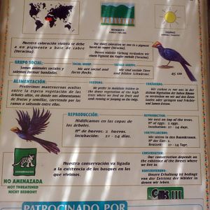 Find two errors with the illustrations in this signage