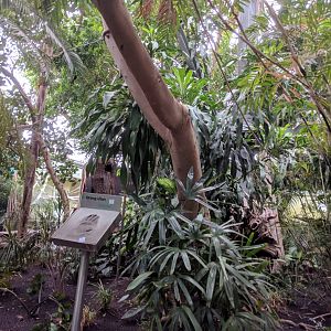 View of inside the Great Apes Building