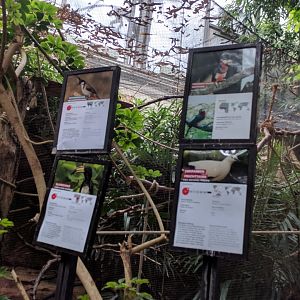 Bird Signage  Inside of the Great Apes Building